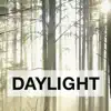 Jay Someday - Daylight - Single